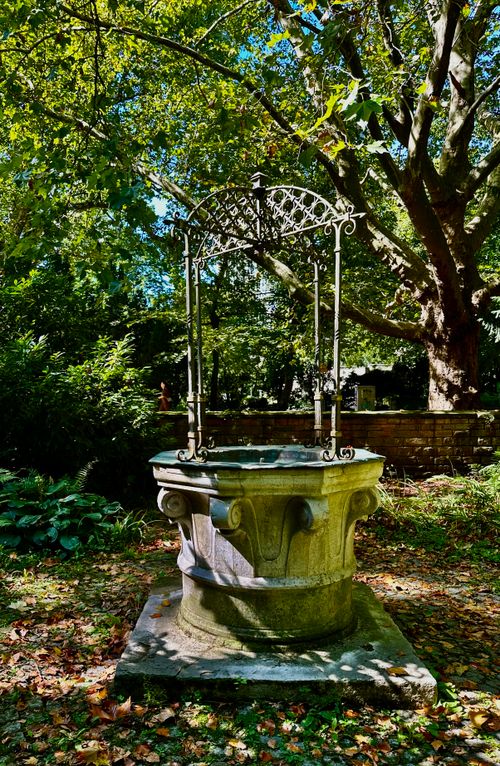 Free A picturesque stone well under a canopy of lush trees in a forest clearing, illuminated by sunlight. Stock Photo