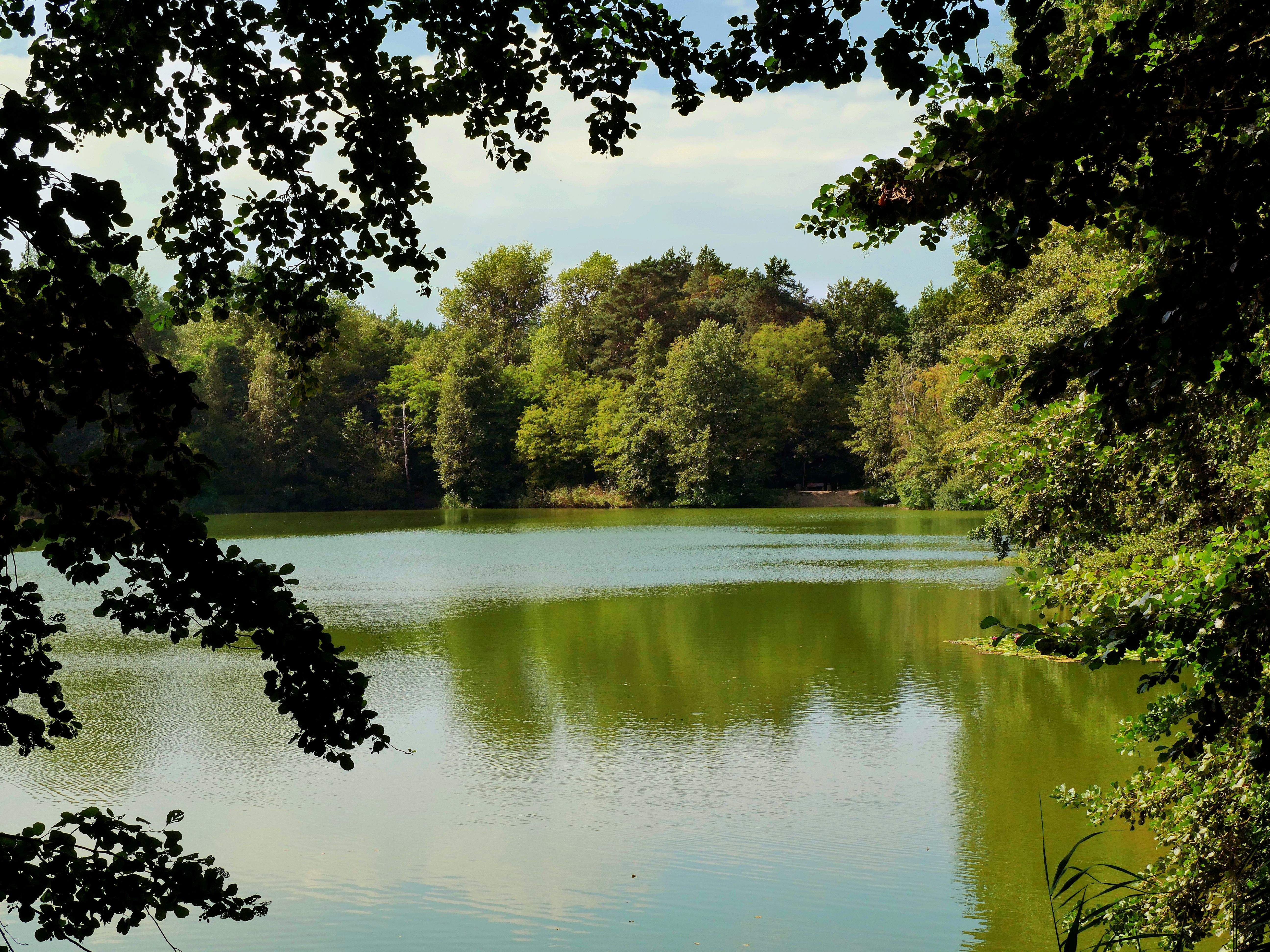 Romantischer Landschaftspark mit künstlichem See