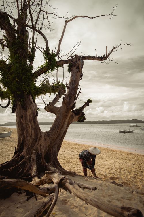 Free A tranquil beach in Caraga, Philippines with a lone tree and person by the shore. Stock Photo