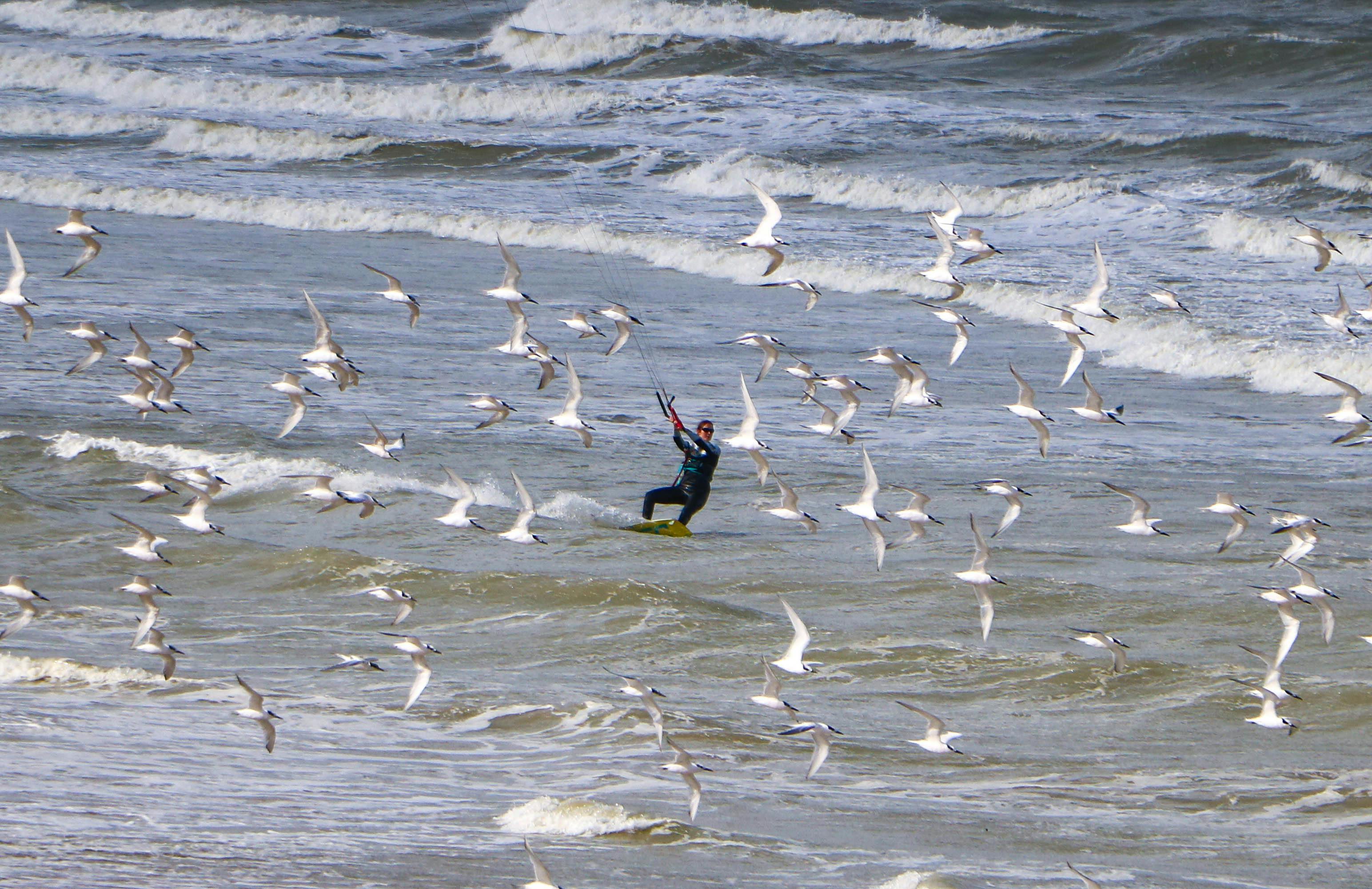 요오드가 풍부한 해조류 이미지