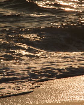 Sunset light reflects on gentle waves at a serene beach in Réghaïa, creating a golden shimmer.