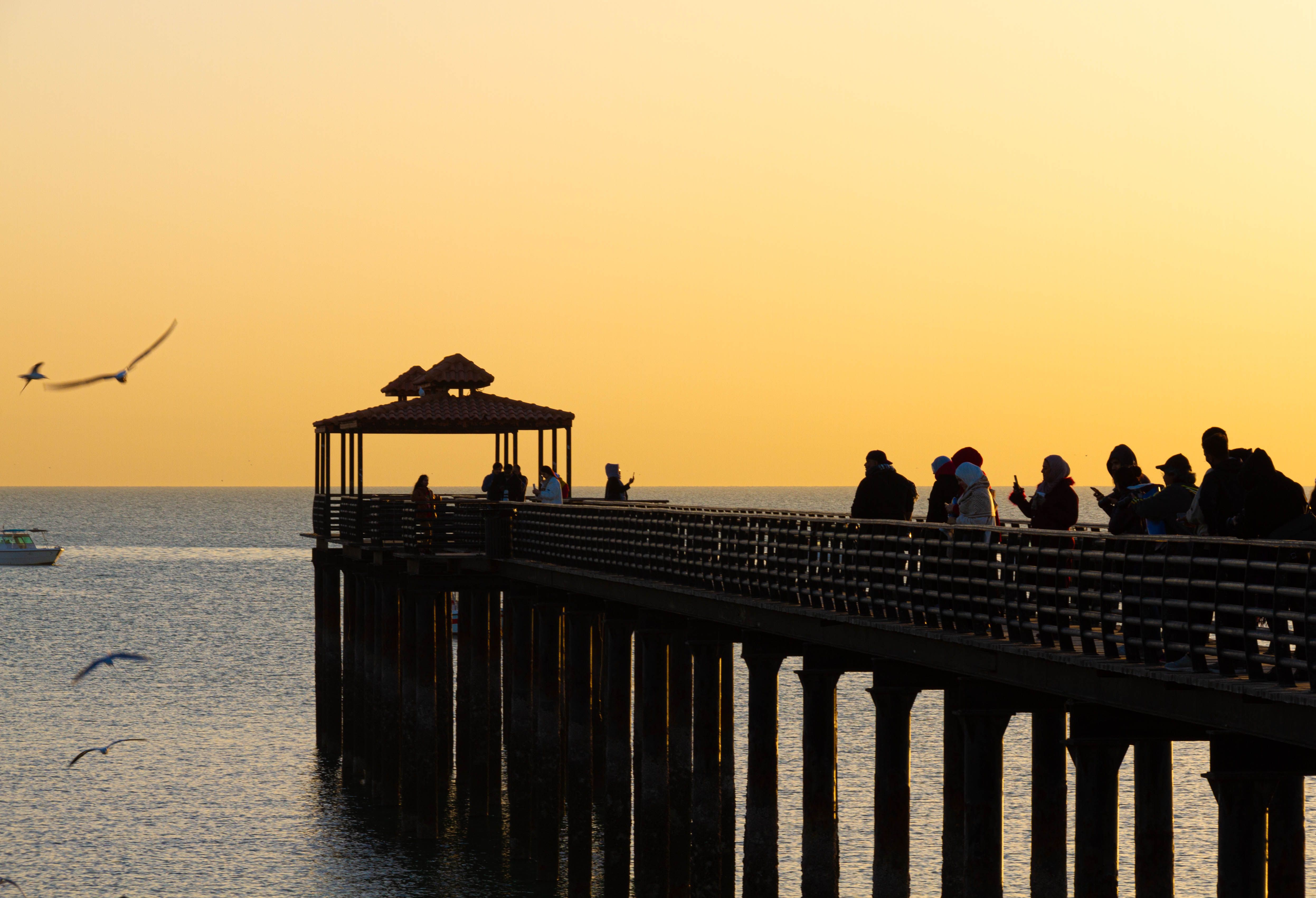 People standing on a pier at sunset with seagulls flying over the sea