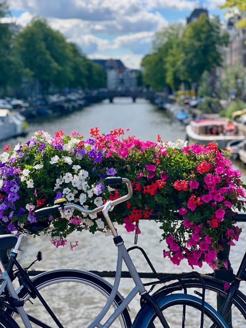 Free A colorful bike adorned with flowers on an Amsterdam canal bridge during a sunny day. Stock Photo
