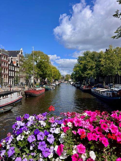 Free Bright flowers adorn an Amsterdam canal view under a clear blue sky, showcasing iconic Dutch architecture. Stock Photo