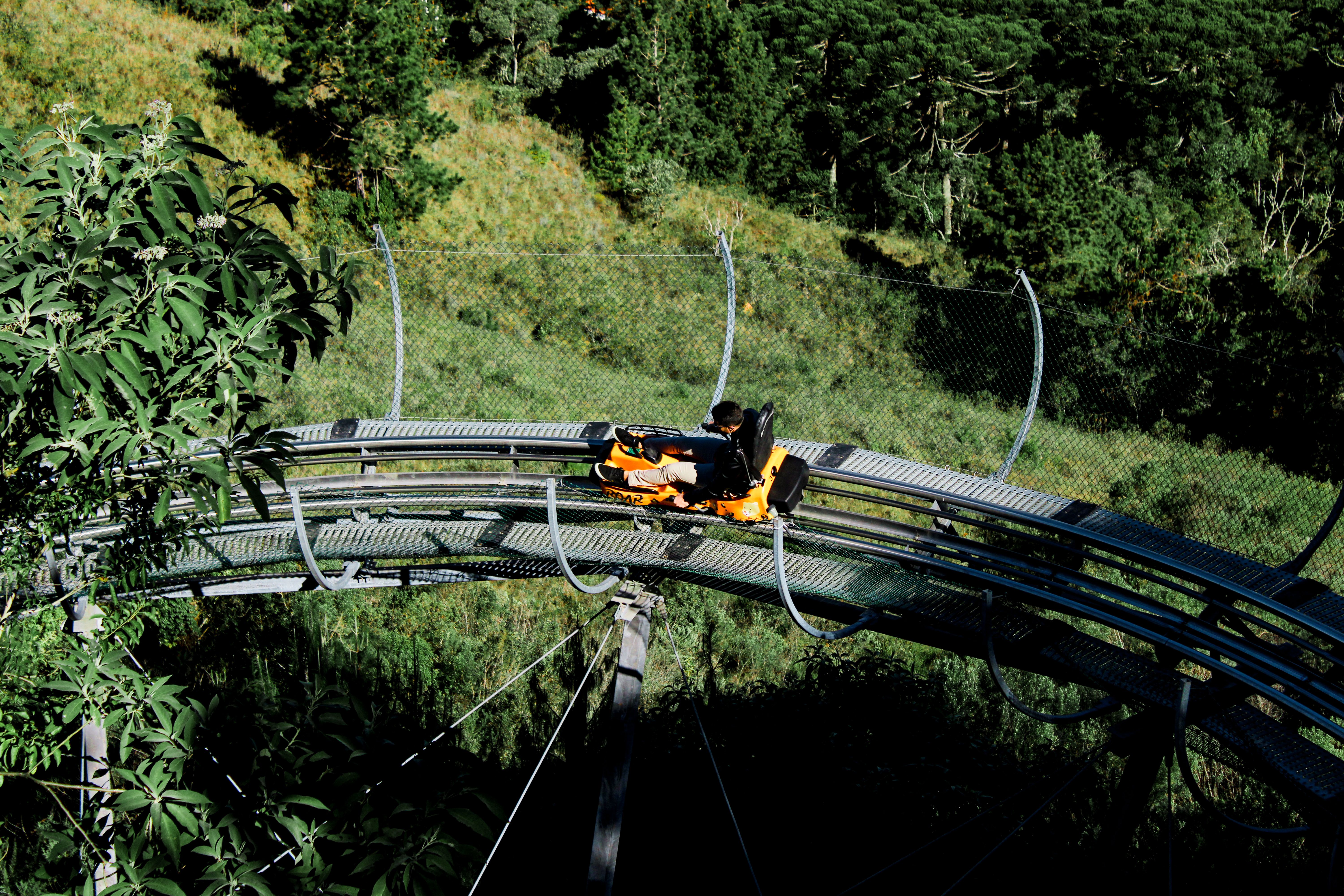 Thrilling mountain coaster ride through lush landscapes in Campos do Jordão, Brazil.