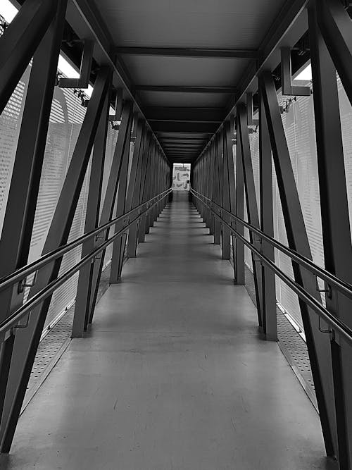 Free stock photo of bridge, tunel