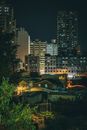 香港的高楼在夜空中熠熠生辉，展现着城市生活的活力