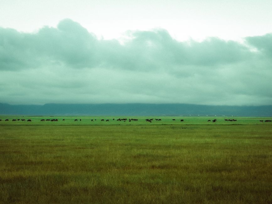 Quel visa choisir pour vivre en Tanzanie ?