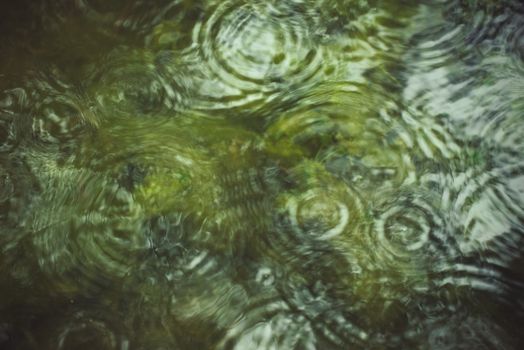 Abstract image of water ripples on a green surface, creating a soothing natural pattern.