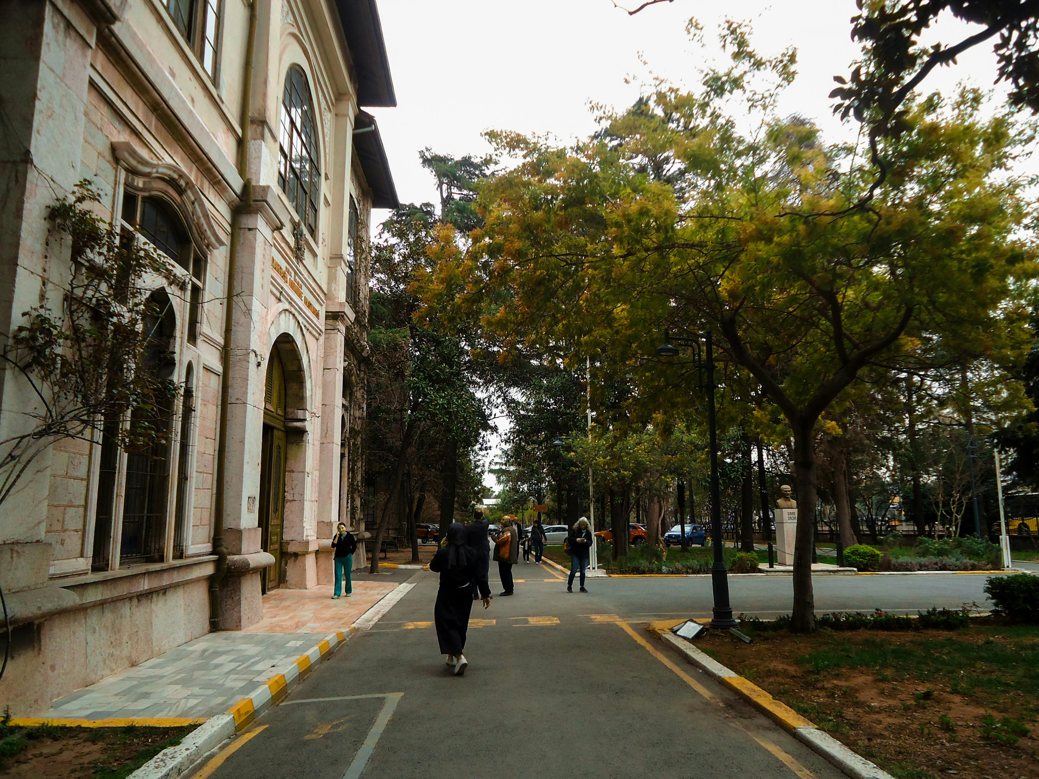 Correcting the Core: University General Education Requirements Need State Oversight — Photo by Melisa Özdemir on Pexels