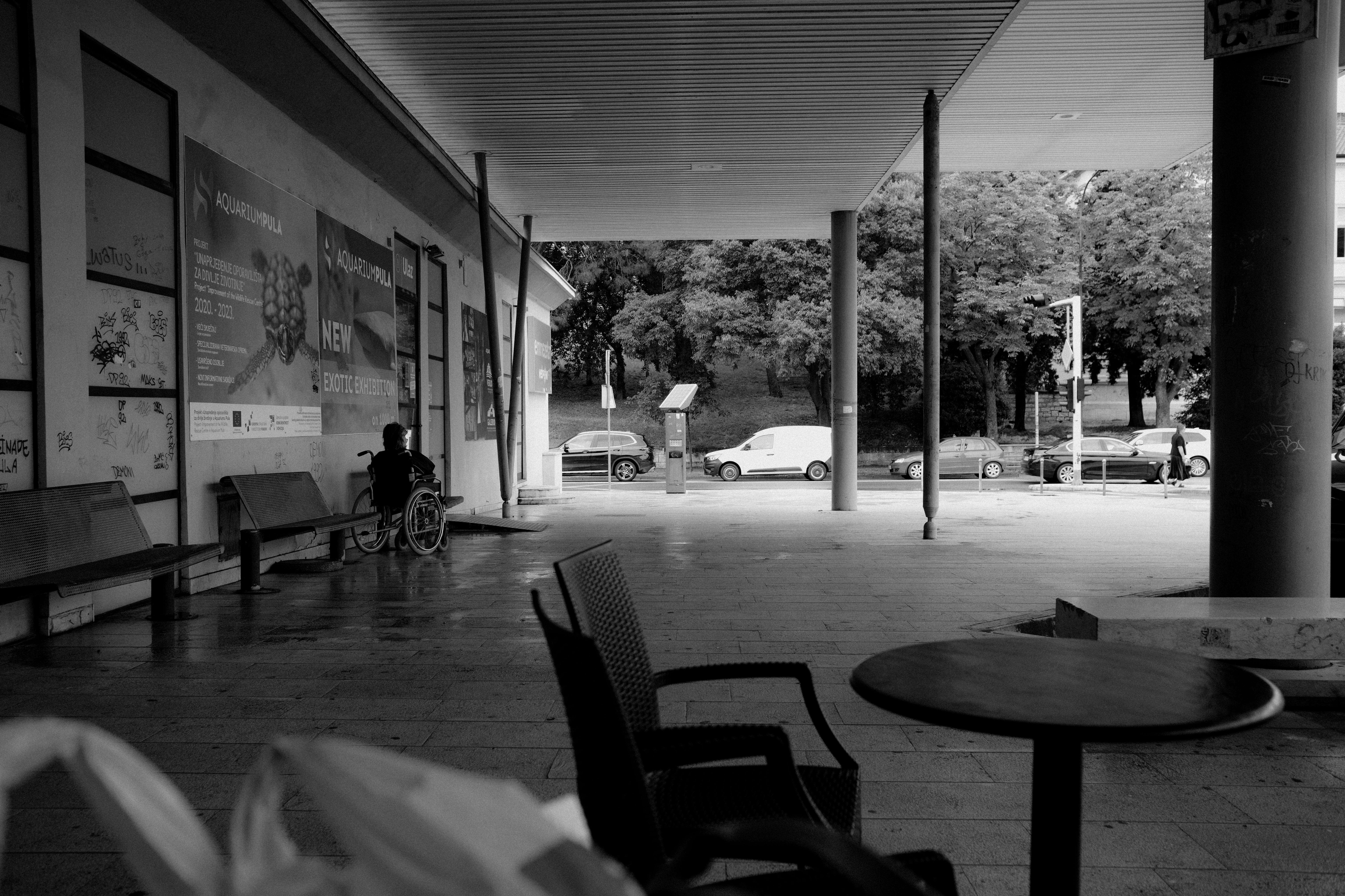 The Inclusive Mindset Revolution: A Step by Step Guide to Cultivating Empathy