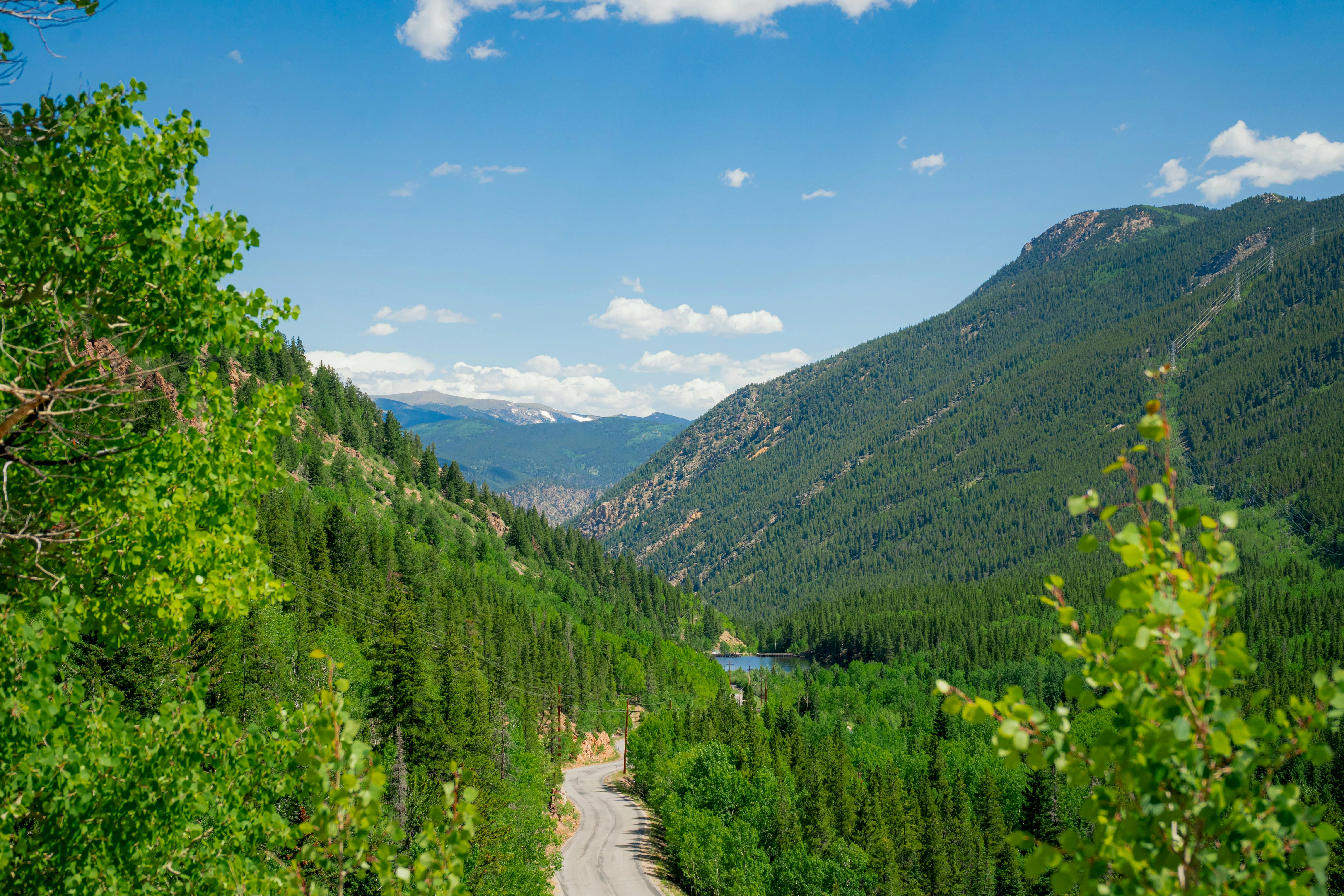 Matlin Injury Law: Colorado’s premier personal injury firm — Photo by Rachel Brooks on Pexels