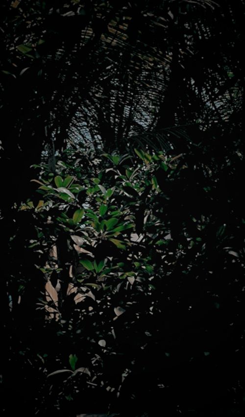 Free LIGHTS  Stock Photo