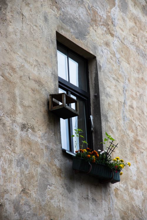 Free A weathered stucco wall featuring a simple window adorned with a colorful flower box. Stock Photo
