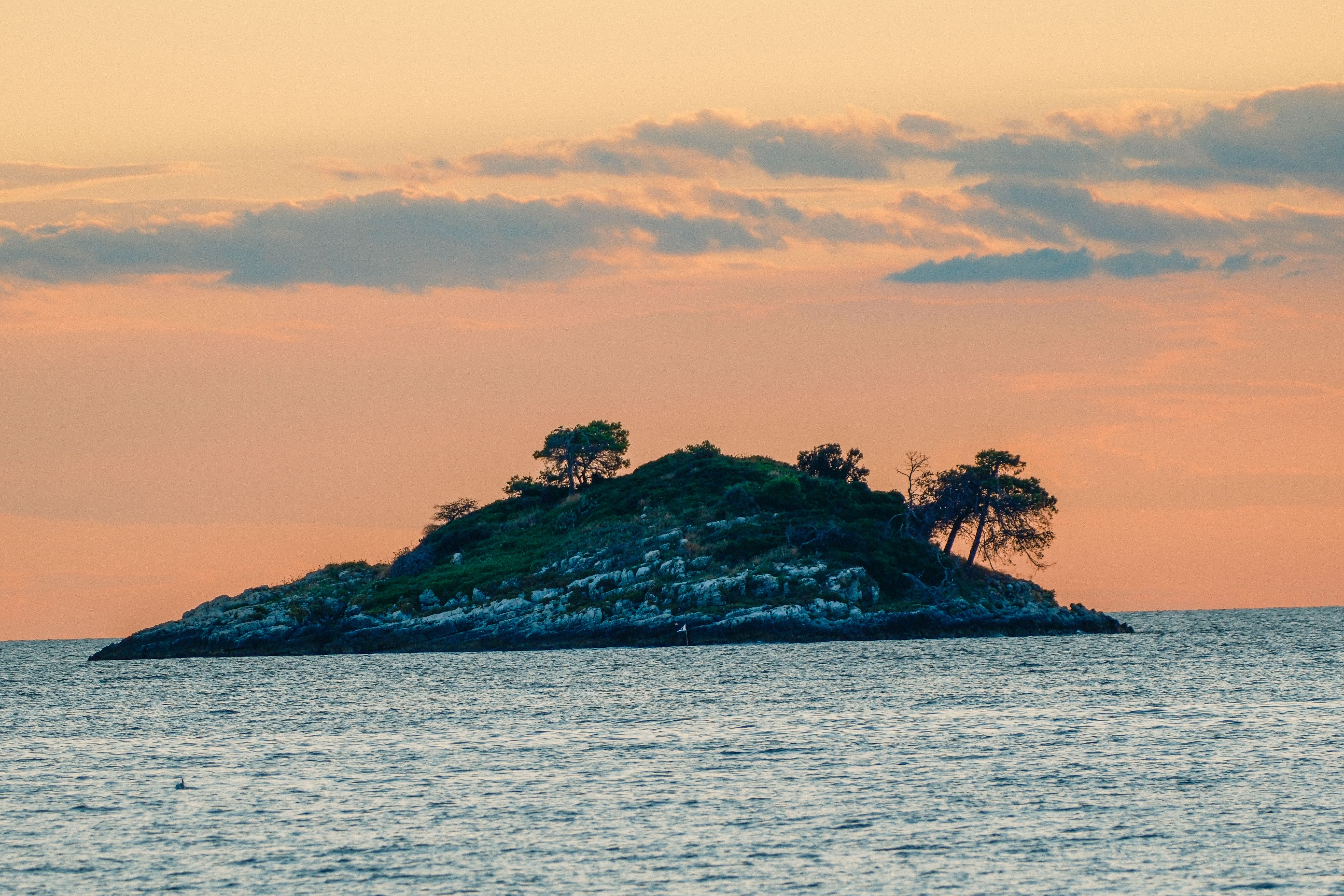 Pokémon Pokopia: Best Cloud Islands &amp; Developer Island Codes — Photo by Ramon Karolan on Pexels