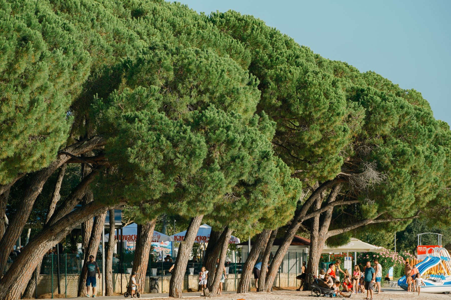 Zaton with Kids: Family-Friendly Beaches and Activities
