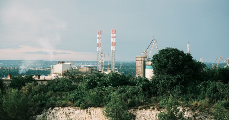 Industrie agroalimentaire : fonctionnement, filières et acteurs clés