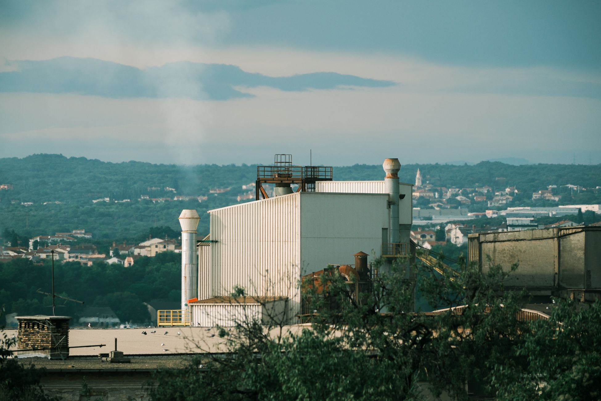 After tank implosion, WA expands scrutiny to other paper mills