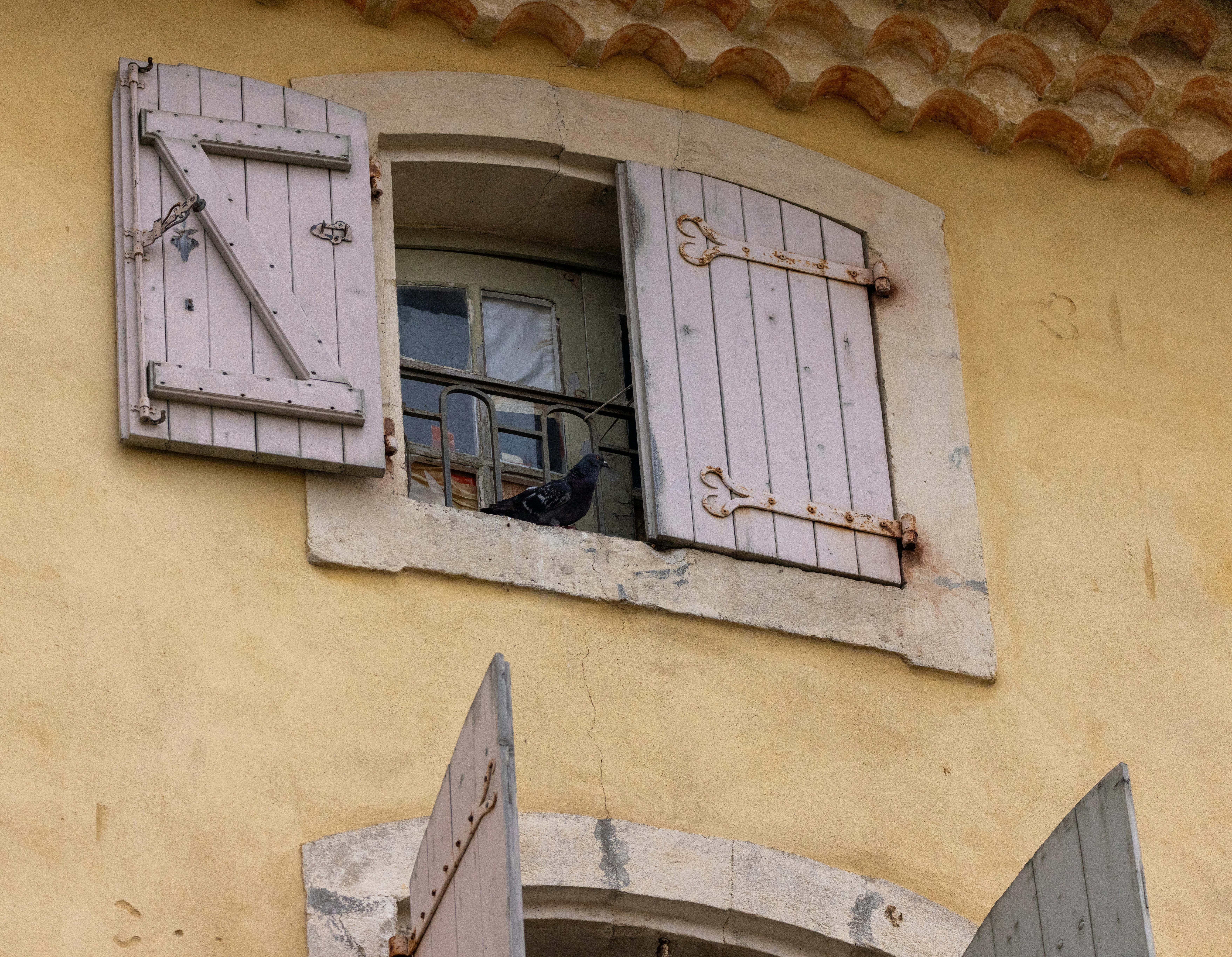 A pigeon rests on a classic French shuttered window in Provence, France.