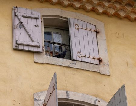 A pigeon rests on a classic French shuttered window in Provence, France.