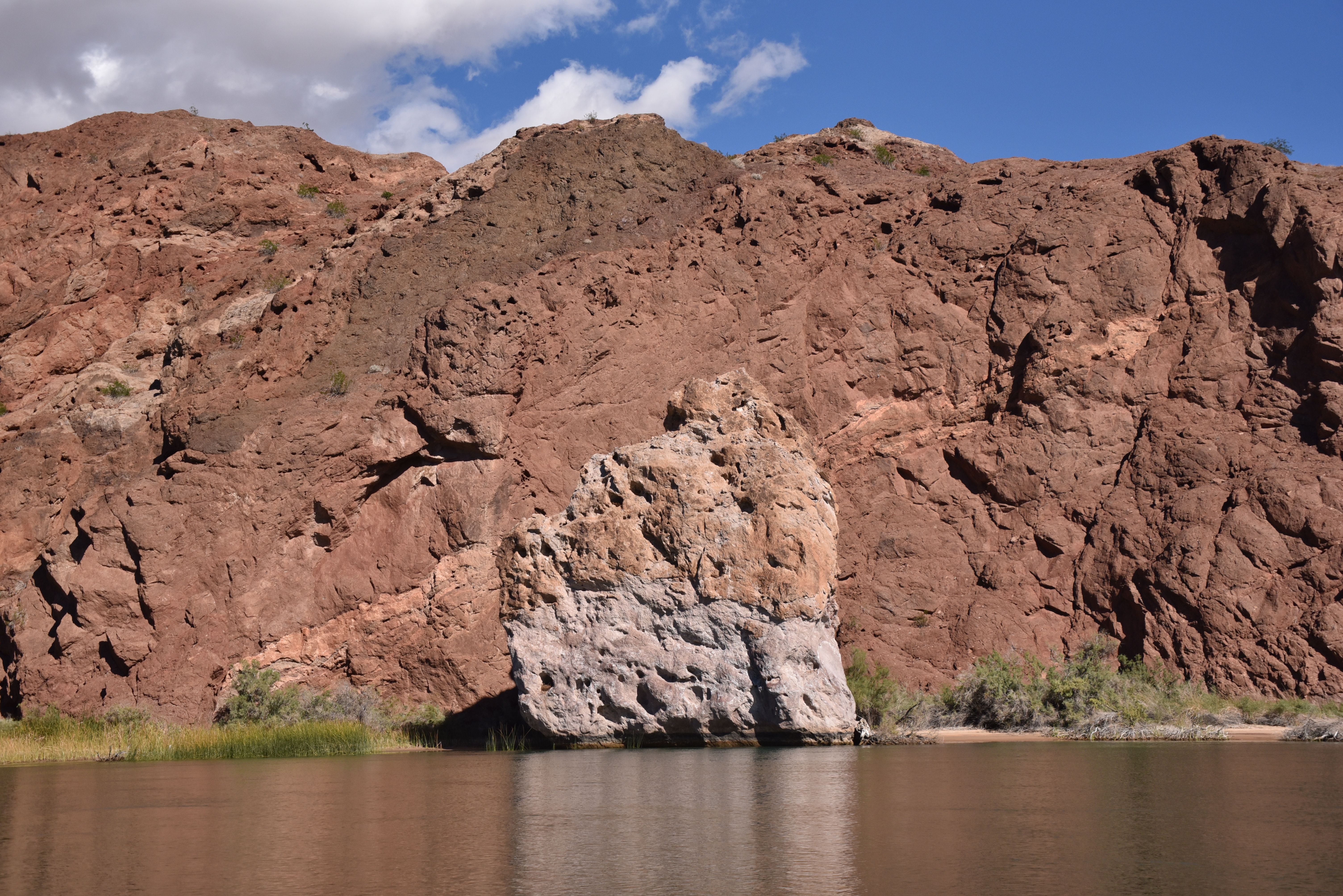 The Colorado River at Lees Ferry below red cliffs