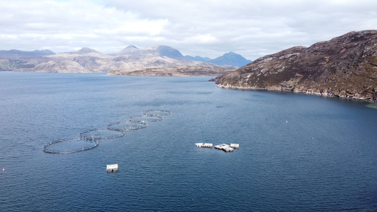 Fish Ranch Viewpoint Aerial View of Fish Farm in Scottish Loch · Free Stock Photo