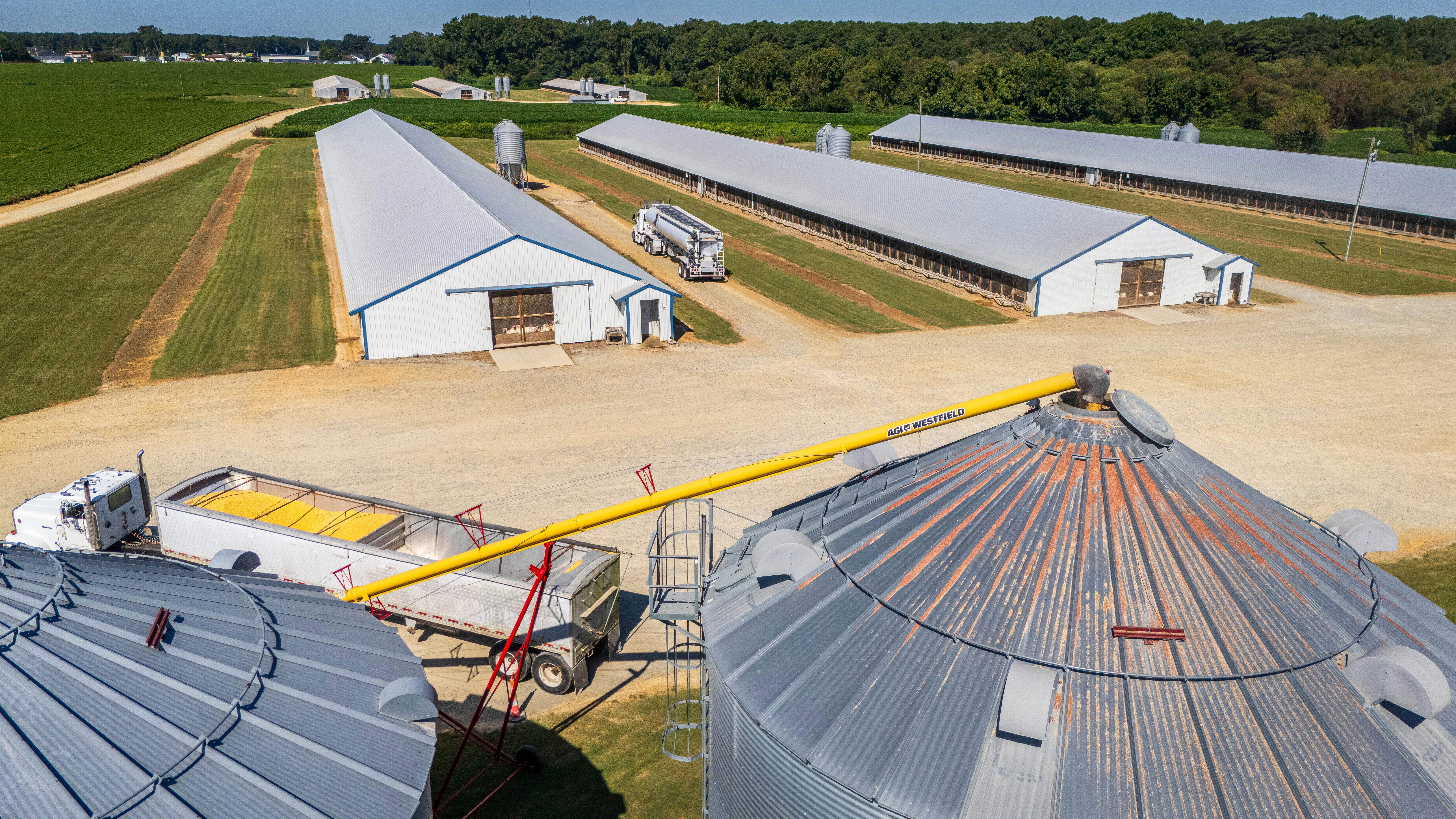 華中地區開啟鐵海聯運新國際物流通道 運輸效率大提升