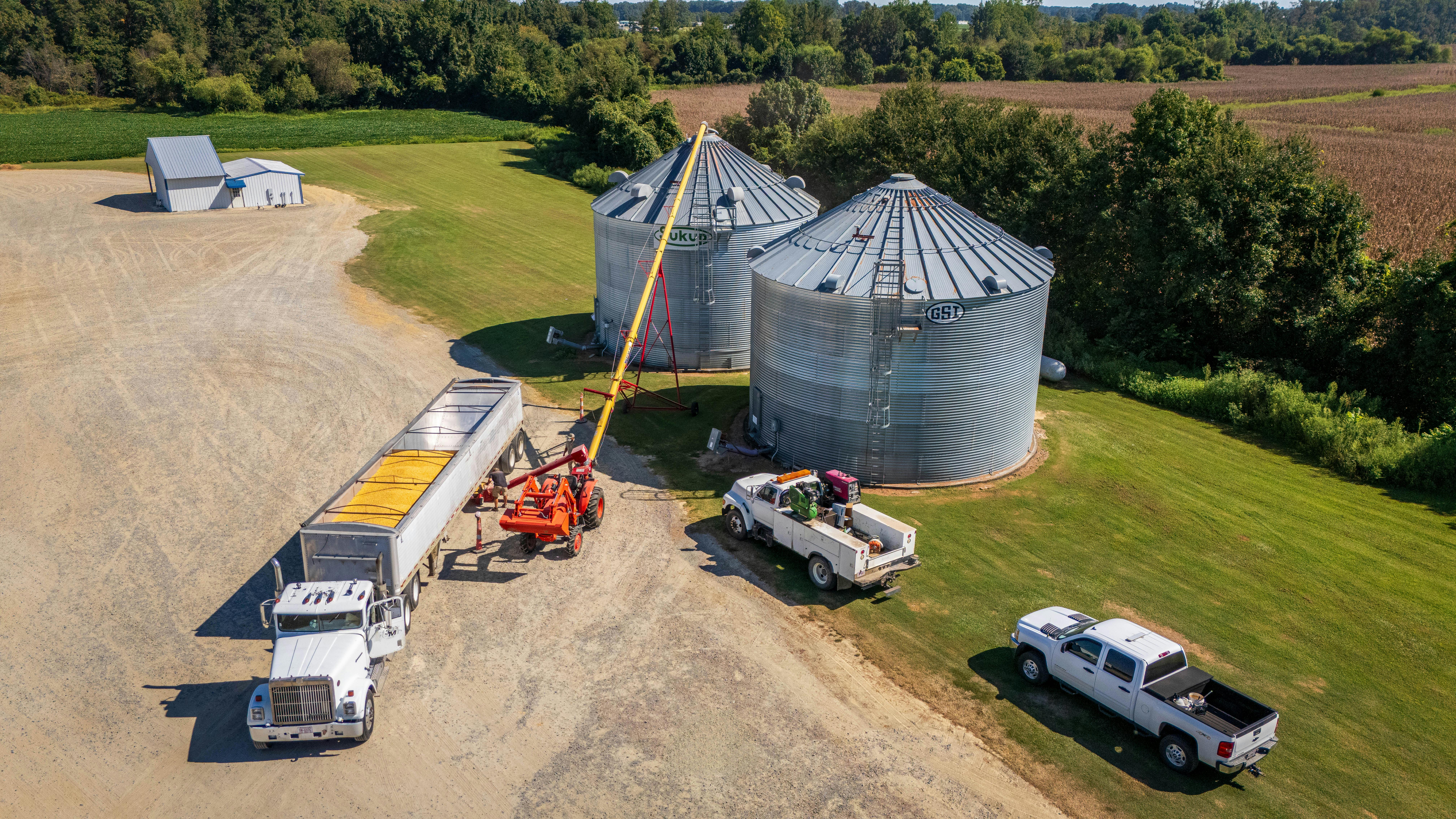 大豆豐收變寒冬 美農民苦喊 中國一船豆都沒買