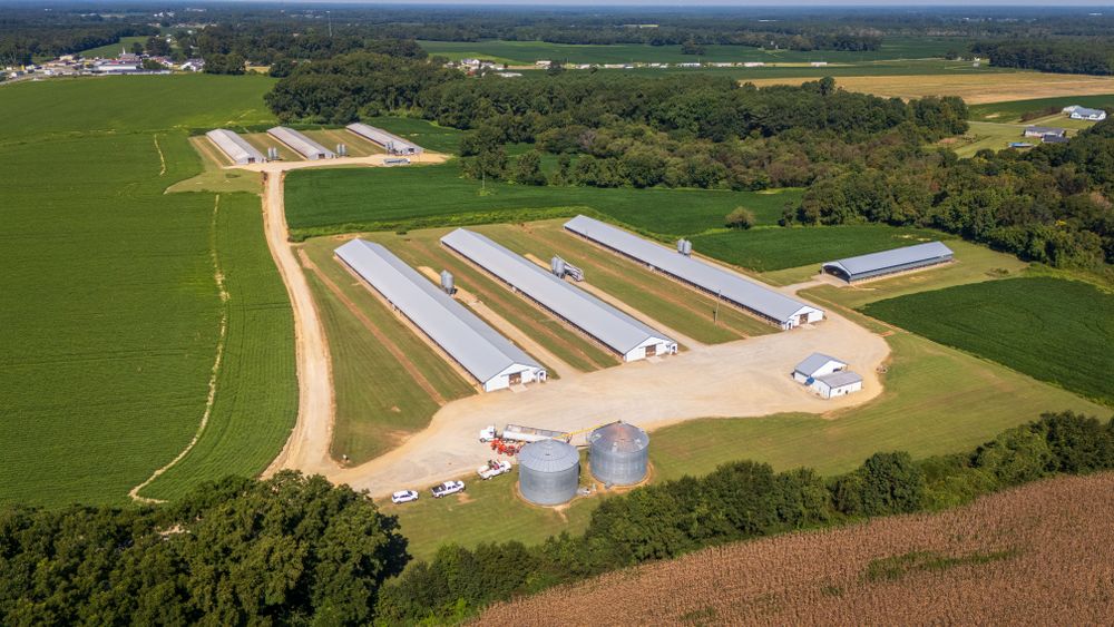 Interior systems of a modern EC poultry house