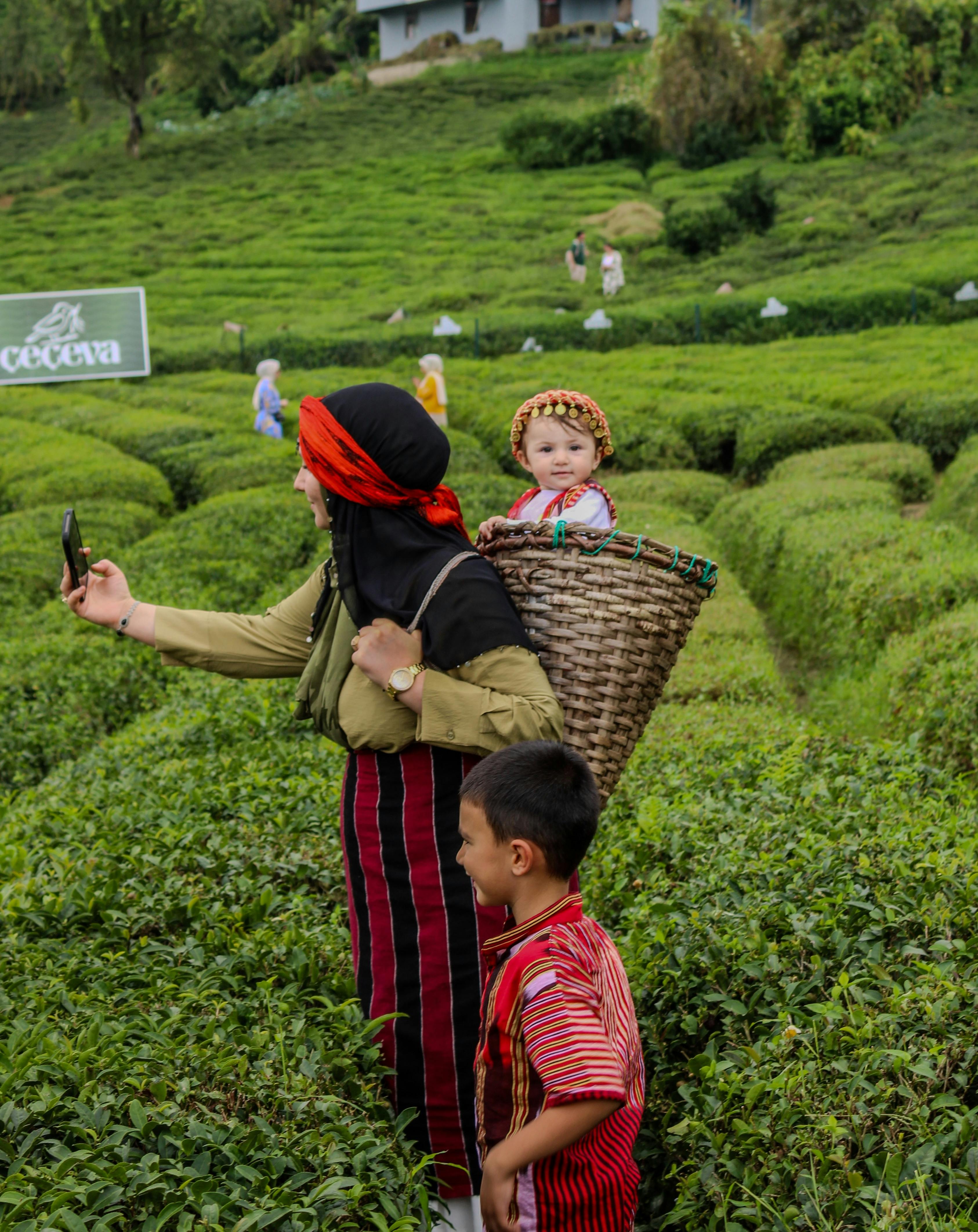 Trái Cây Vũng Tàu: Tươi Ngon, Sạch, Nhập Khẩu, Khai Trương  Quà Tặng