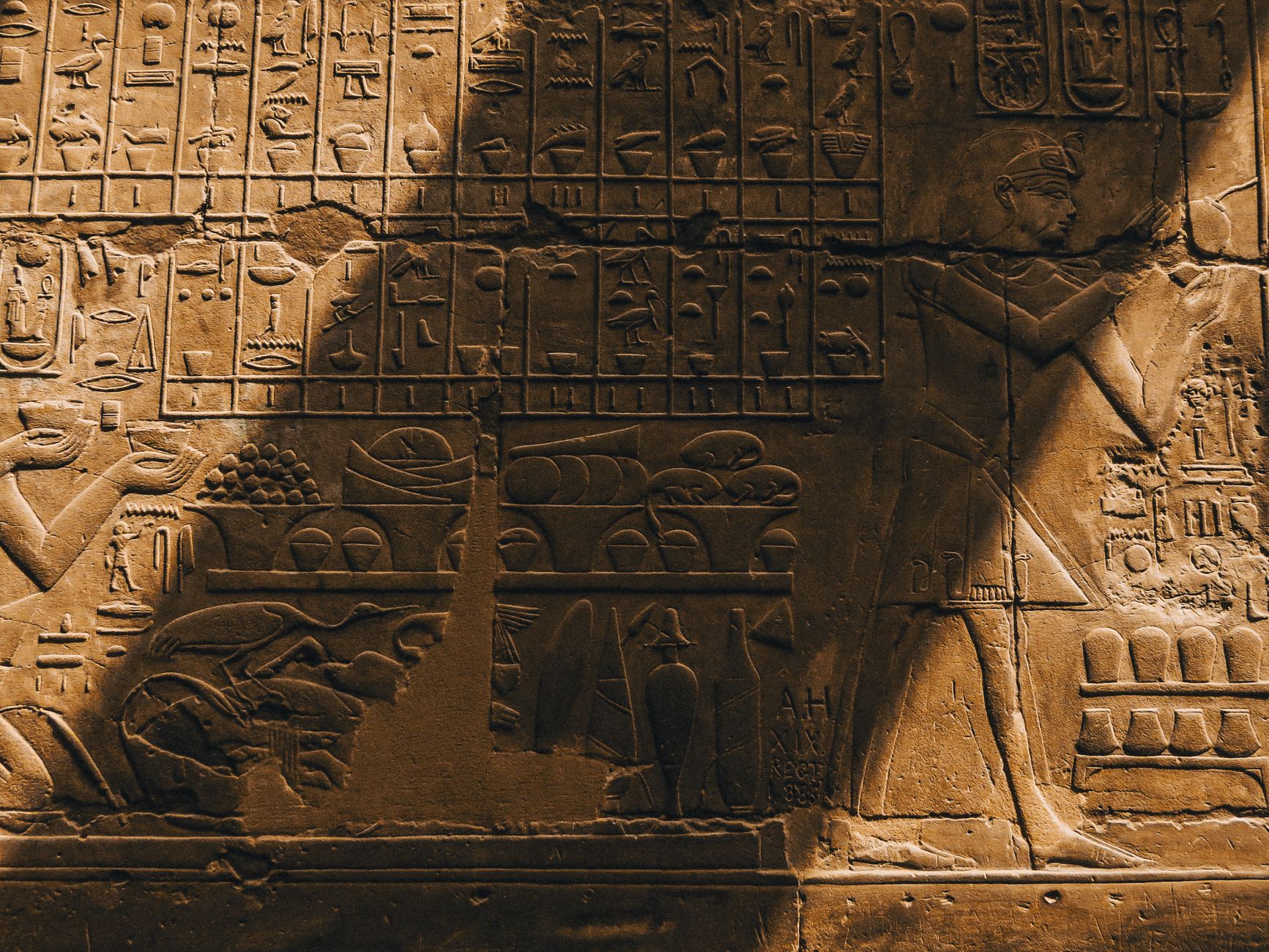 Detailed view of ancient Egyptian hieroglyphic carvings on a stone wall with warm lighting.