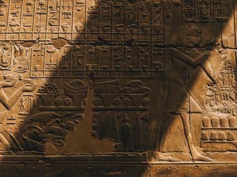 Detailed view of ancient Egyptian hieroglyphic carvings on a stone wall with warm lighting.