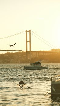 A serene view of Bosphorus with a bridge at sunset, featuring boats and seagulls.