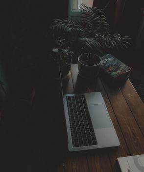 A cozy home workspace with a laptop and potted plants in a dimly lit room, creating a relaxing vibe.
