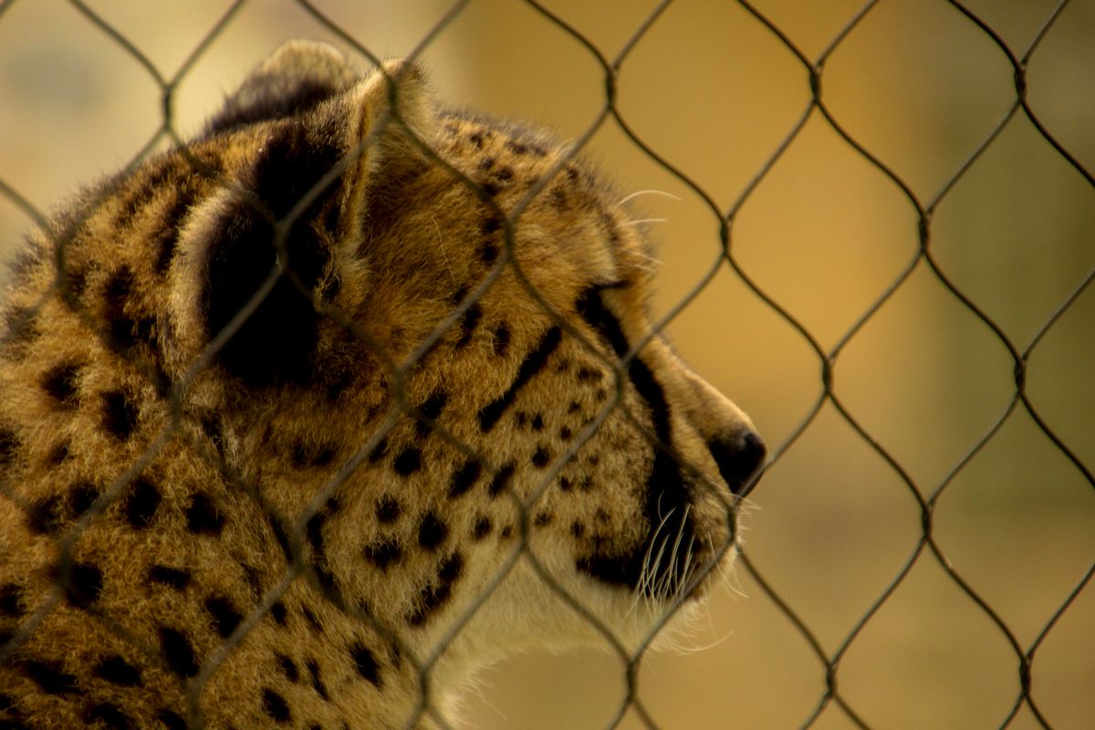 上野動物園の駐車場