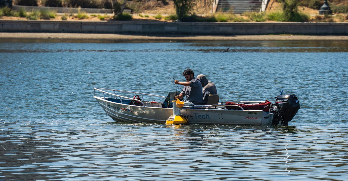 Canyon Creek Fishing Tips: Mastering Trout Techniques