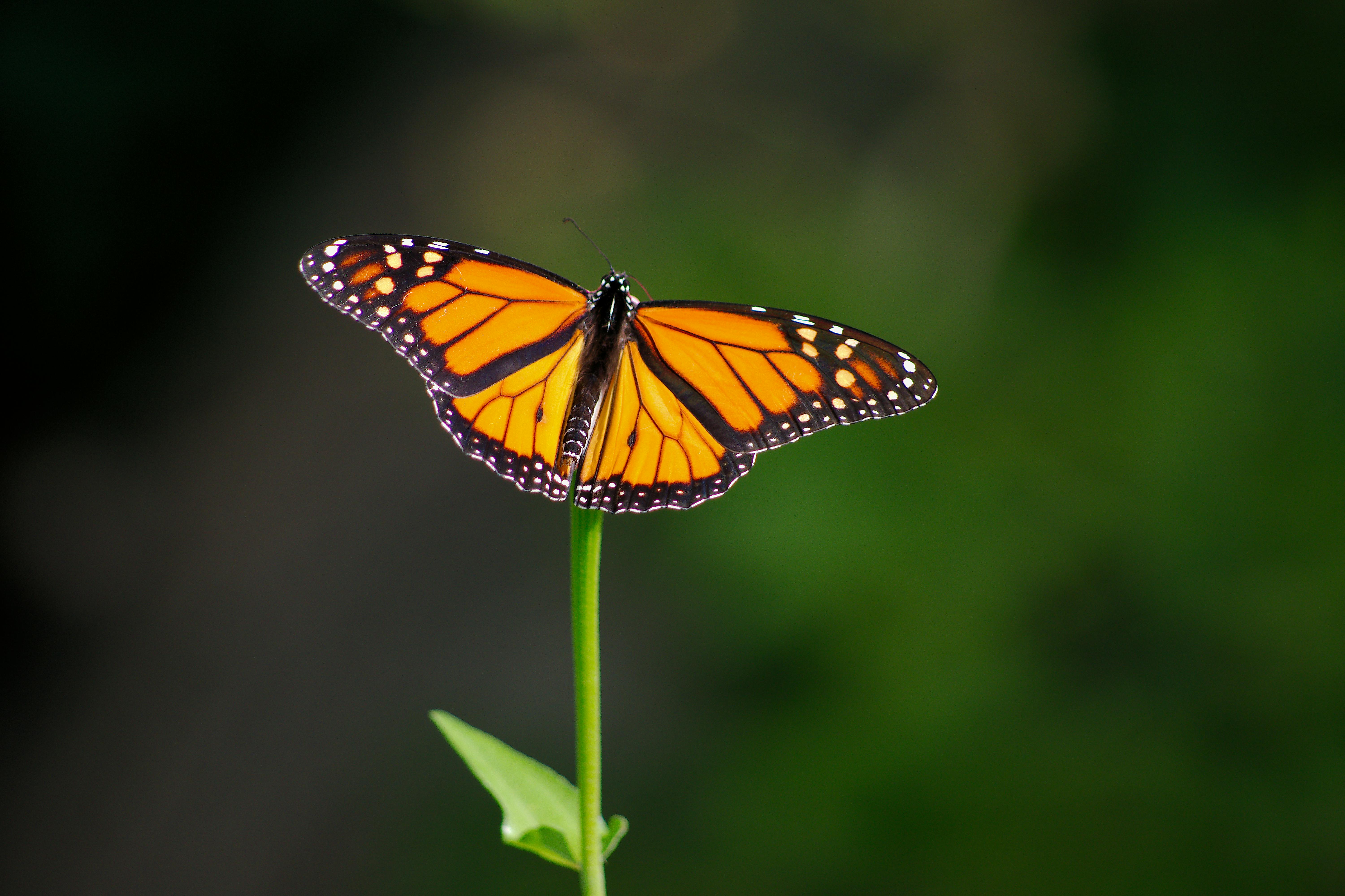 Overcoming Divides: Proven Strategies for Bridging Gaps and Uniting People