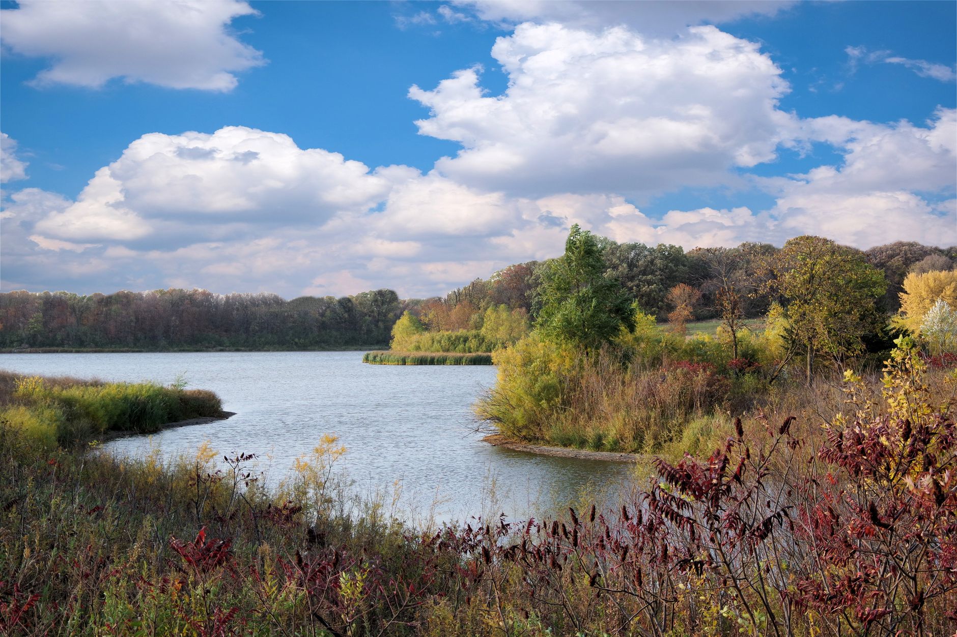 Kalamazoo River Fishing: New Richmond Fall Flow Band