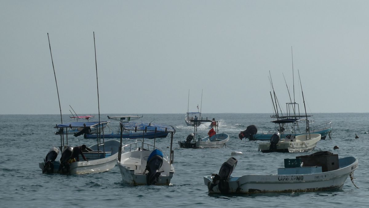 Fishing boats on the Pacific Ocean off Puerto Escondido with the horizon in the background