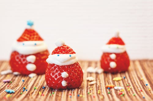 Free stock photo of berry, christmas decoration, funny