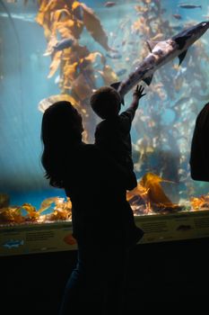 Silhouette of a mother and child captivated by marine life in an aquarium display.