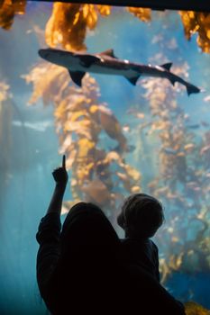 Child and parent silhouetted against a shark exhibit in an aquarium.