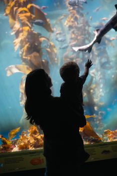 Silhouetted figures of woman and child watch fish in an aquarium display.