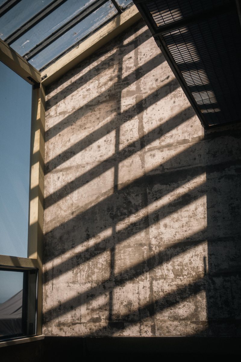 Sun Design Photos, Download The BEST Free Sun Design Stock Photos & HD ...