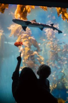 A parent and child silhouetted against a vibrant aquarium display, pointing at a passing shark.