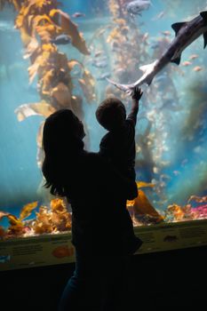 Silhouetted mother and child enjoy a vibrant underwater aquarium with sharks and seaweed.