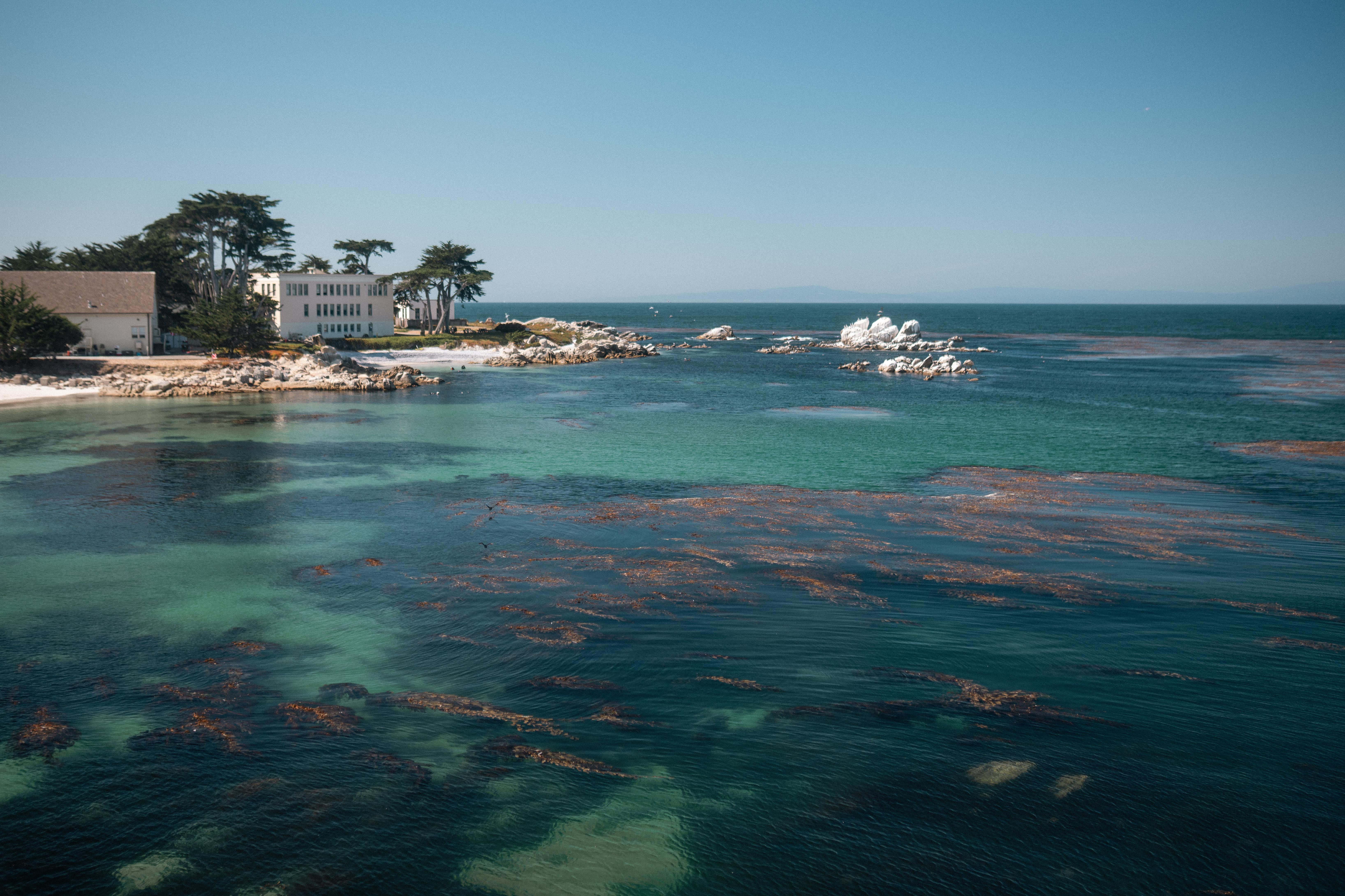 Beautiful coastal landscape with clear blue ocean and rocky shoreline under a sunny sky.
