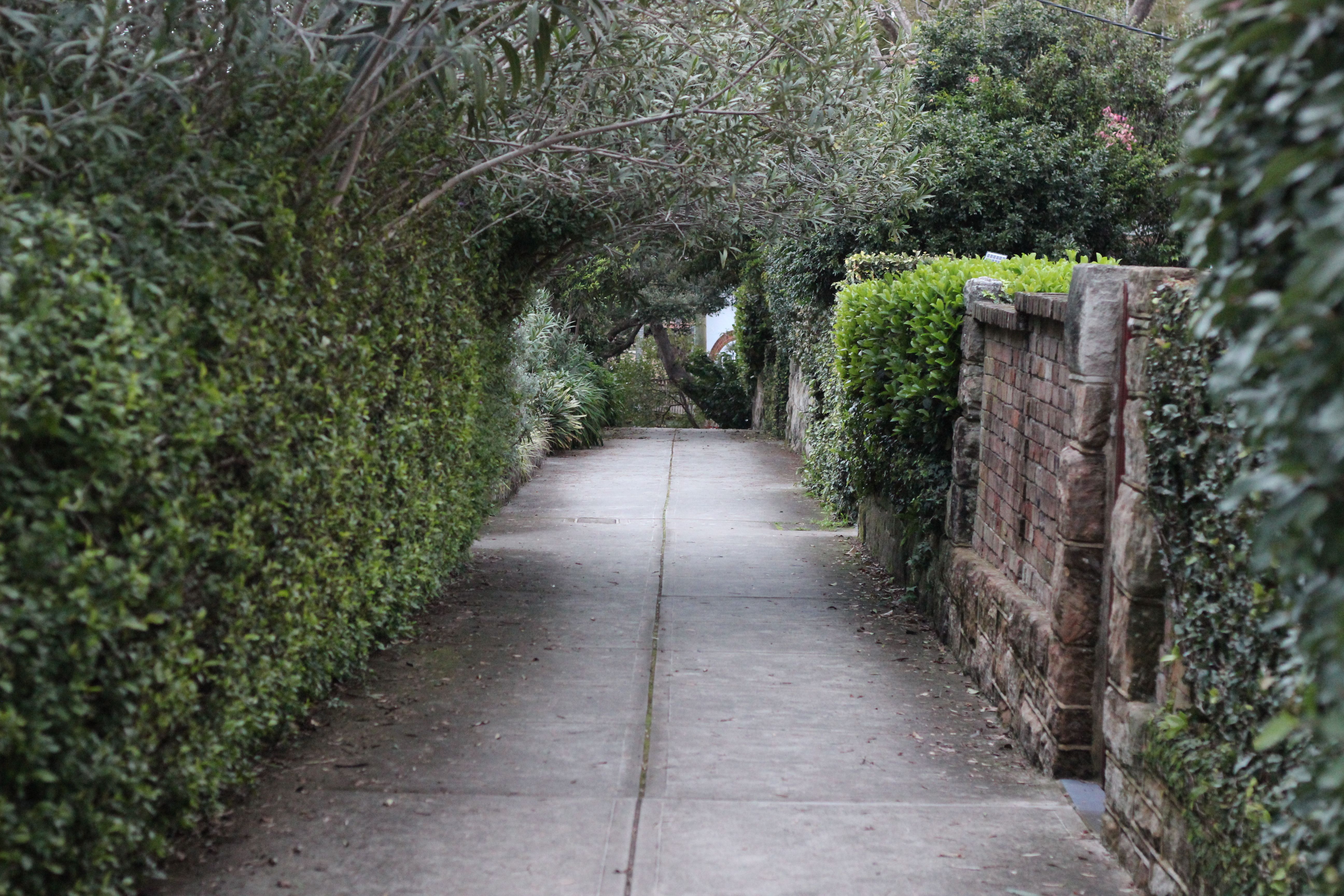 Mosman Park