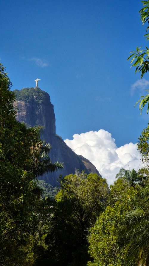 Free Stunning view of Christ the Redeemer overlooking the vibrant greenery of Rio de Janeiro on a sunny day. Stock Photo