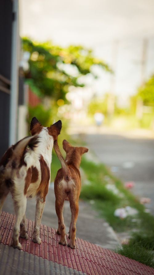 Free Mother and daughter Stock Photo